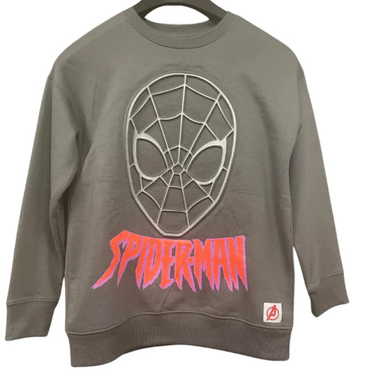 Boys Character sweatshirt with a rubberised design